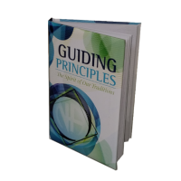 EN: GUIDING PRINCIPLES SOFTCOVER ENGLISH